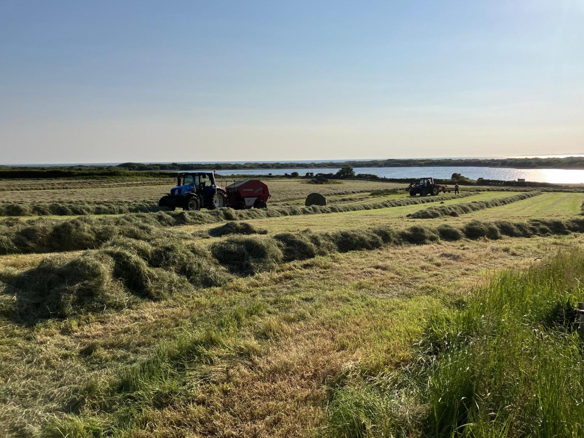 Вілла Kenfig Farm Брідженд Екстер'єр фото