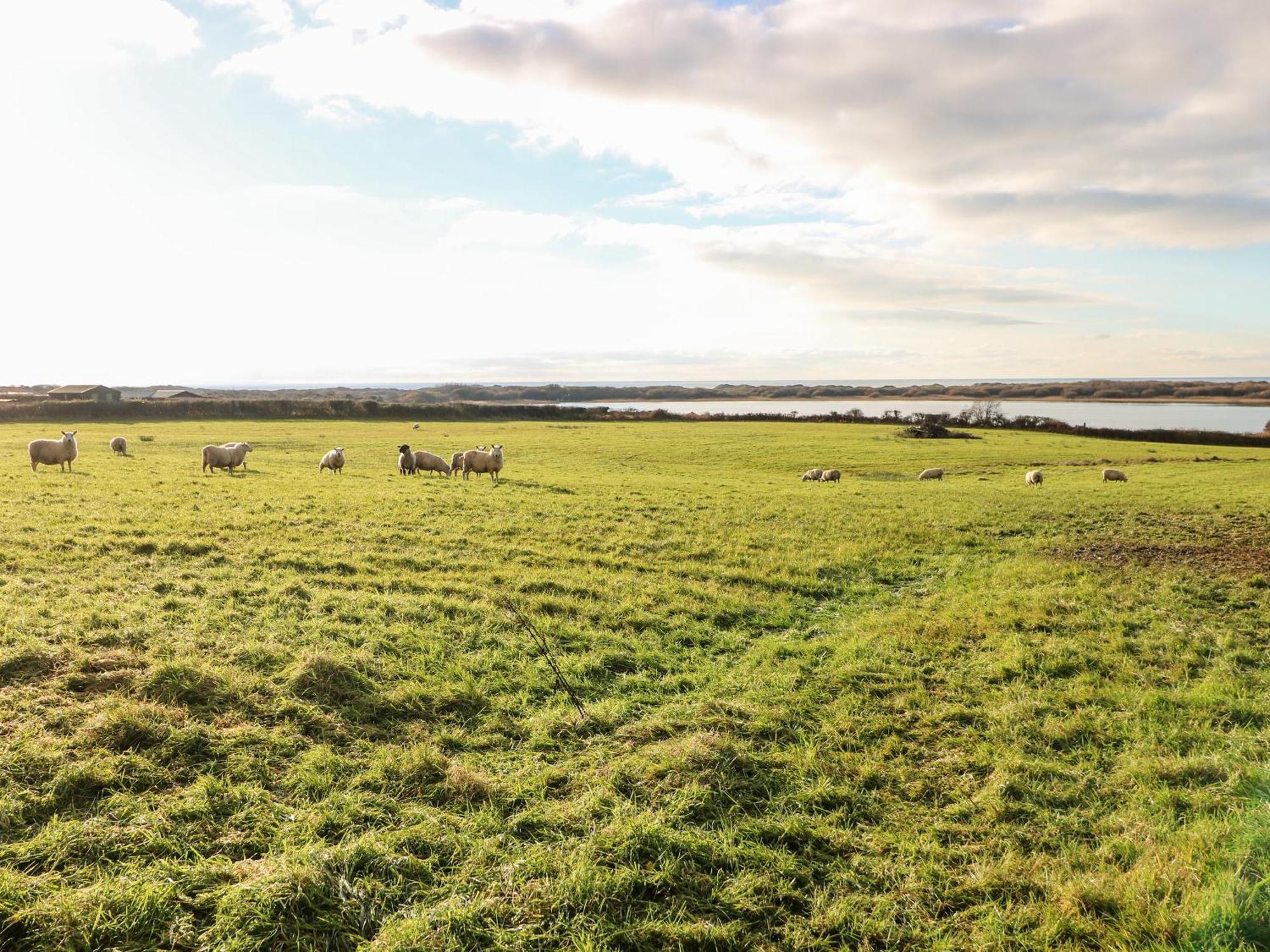 Вілла Kenfig Farm Брідженд Екстер'єр фото